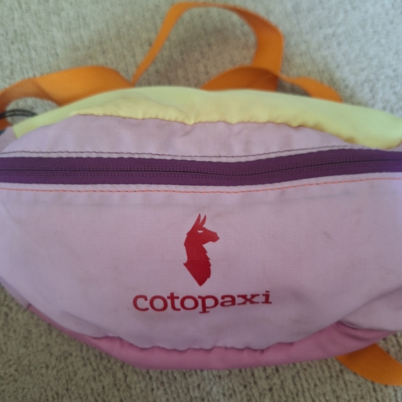 NWT Cotopaxi Fanny Pack - Picture 3 of 4
